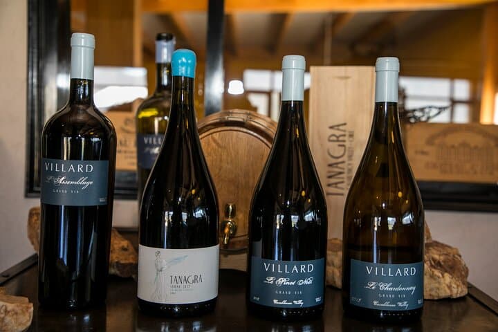 Villard Winery Private Tasting & Premium Transfer in Casablanca Valley photo 2