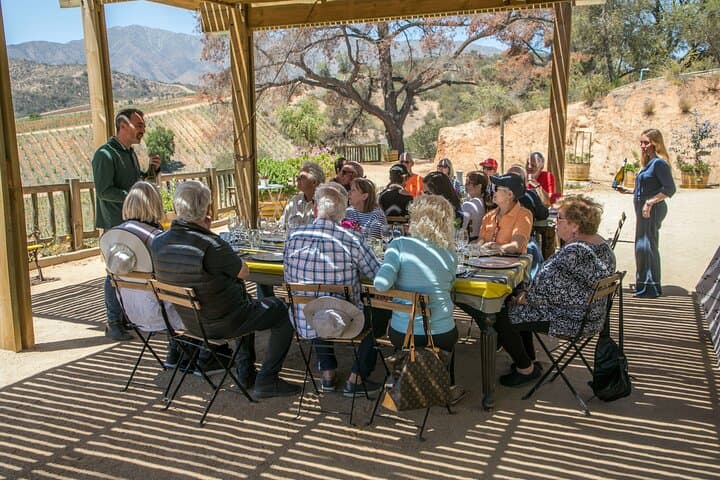 Villard Winery Private Tasting & Premium Transfer in Casablanca Valley photo 5