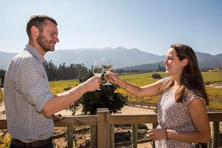 Villard Winery Private Tasting & Premium Transfer in Casablanca Valley photo 6