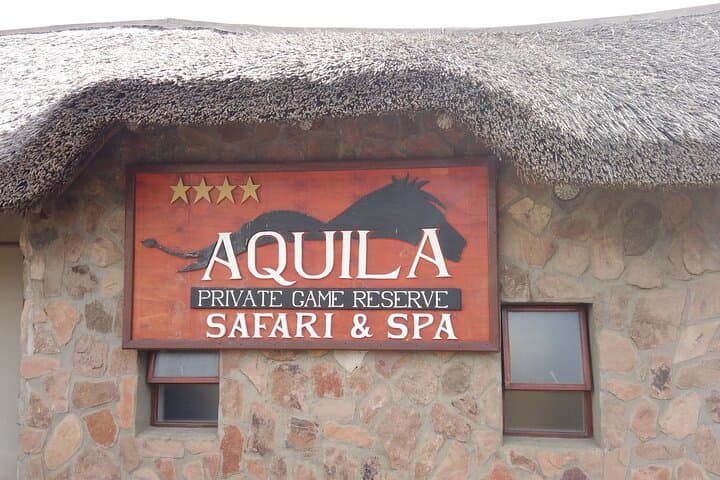 Aquila Safari from Cape Town: Half-Day Big Five Wildlife Experience photo 3