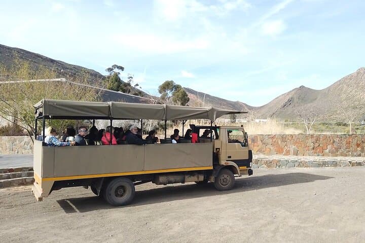 Aquila Safari from Cape Town: Half-Day Big Five Wildlife Experience photo 5