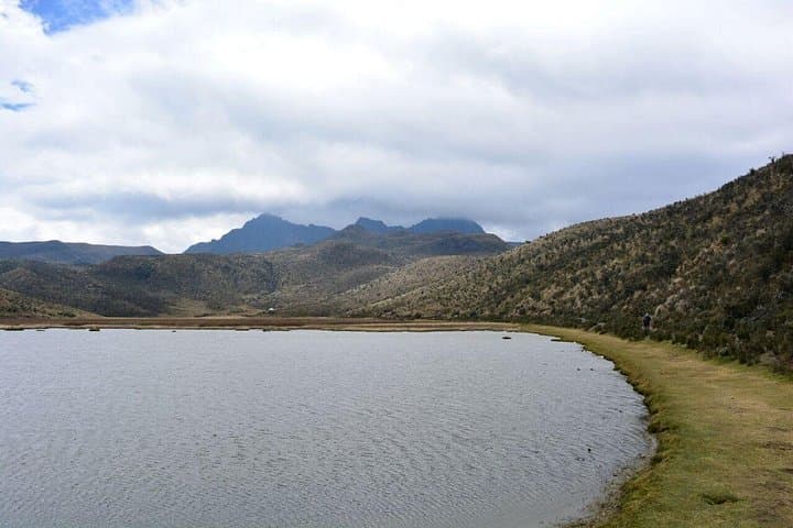 Quito to Cotopaxi Volcano and Rose Plantation: Private Day Tour photo 3