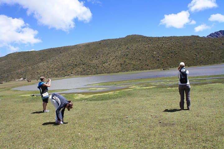 Quito to Cotopaxi Volcano and Rose Plantation: Private Day Tour photo 2