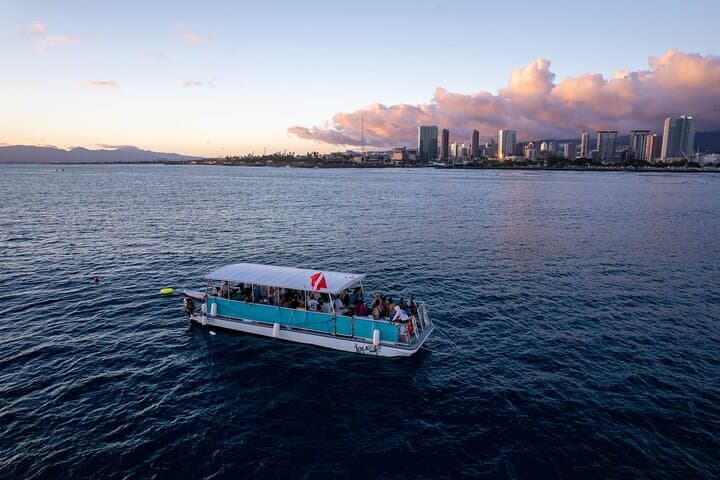 Waikiki Whale Watching Cruise — Humpbacks Off Oahu's Shore photo 5