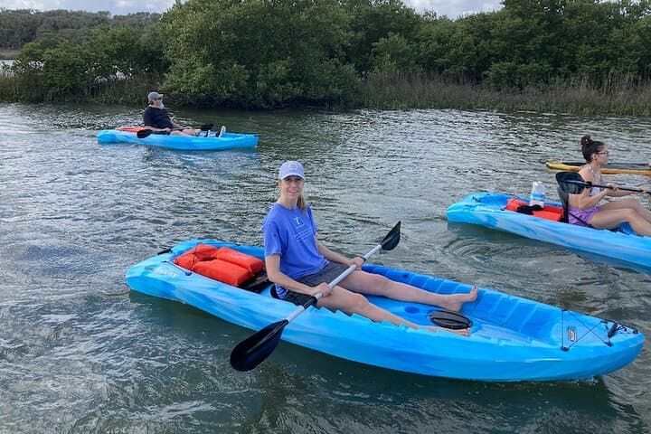 Daytona Beach Kayak Rentals: Paddle with Manatees, Dolphins & Sea Turtles photo 4
