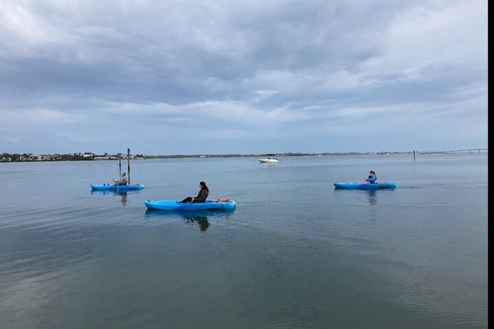 Daytona Beach Kayak Rentals: Paddle with Manatees, Dolphins & Sea Turtles photo 3