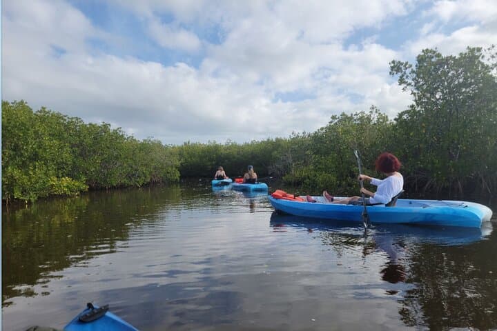 Daytona Beach Kayak Rentals: Paddle with Manatees, Dolphins & Sea Turtles photo 5