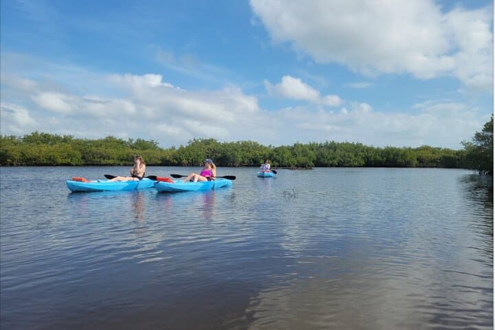 Daytona Beach Kayak Rentals: Paddle with Manatees, Dolphins & Sea Turtles photo 6