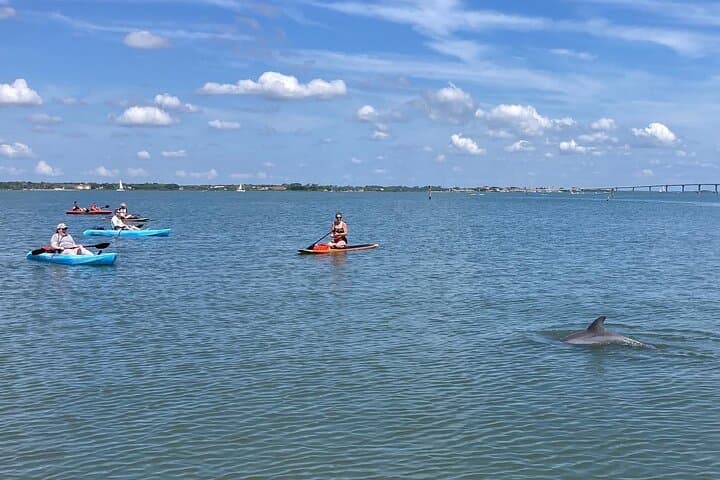 Daytona Beach Kayak Rentals: Paddle with Manatees, Dolphins & Sea Turtles photo 2