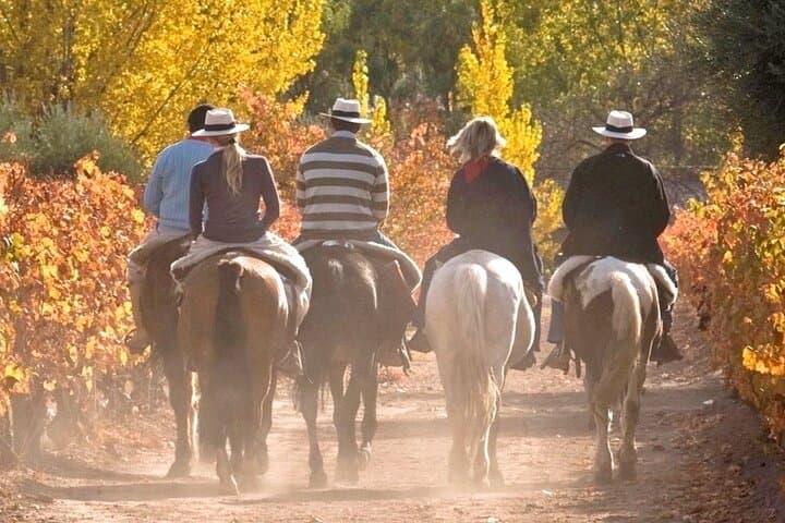 Horseback Riding Mendoza: Vineyards, River Trails & Asado Experience photo 2