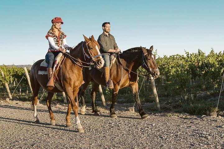 Horseback Riding Mendoza: Vineyards, River Trails & Asado Experience photo 3