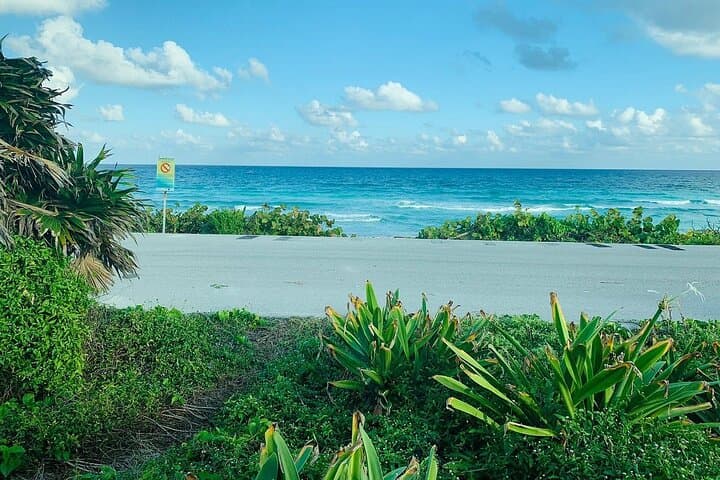 Buggy Adventure in Cozumel with Snorkel & Ferry from Cancun photo 6