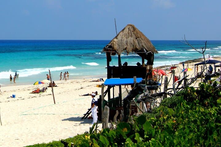 Buggy Adventure in Cozumel with Snorkel & Ferry from Cancun photo 4