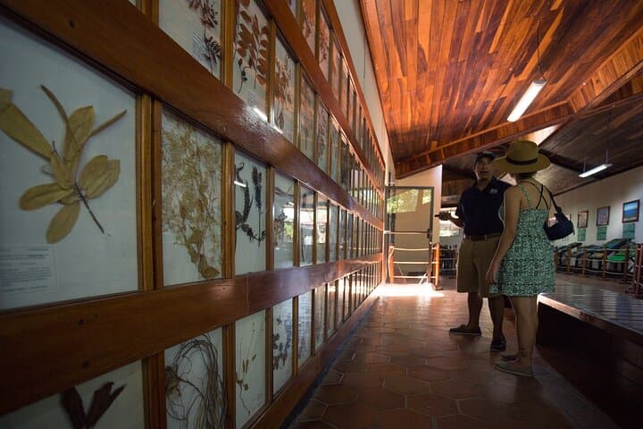 Exploring Masaya: A Full-Day Journey Through Culture, Craft, and Volcanoes photo 4