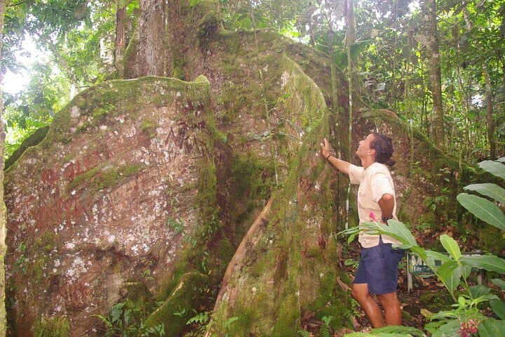Upolu Lava Cliffs and Aganoa Black Sand Beach: Day Trip from Apia photo 5
