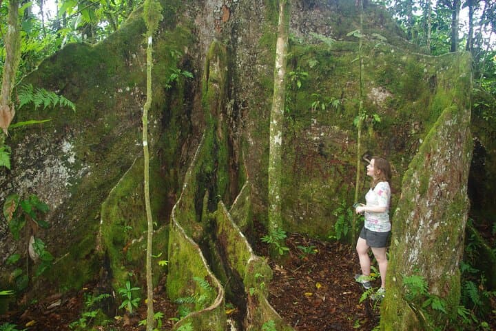 Upolu Lava Cliffs and Aganoa Black Sand Beach: Day Trip from Apia photo 4
