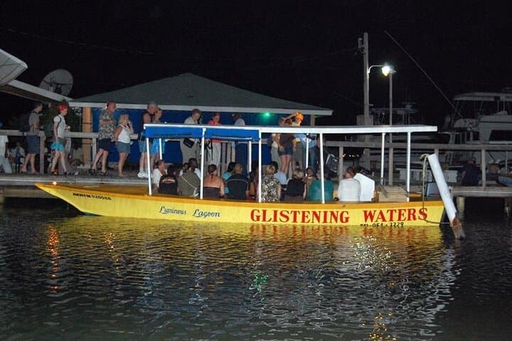 Luminous Lagoon Night Tour: Swim with Bioluminescent Waters Near Montego Bay