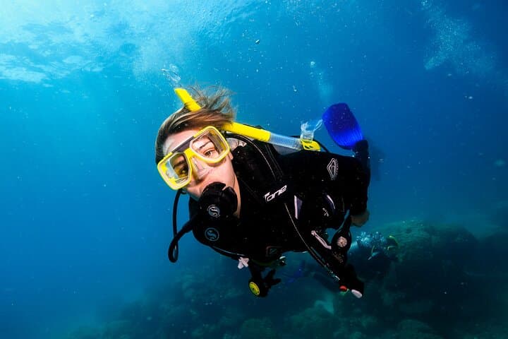 Premium Guided Dive Trip to the Outer Great Barrier Reef from Port Douglas photo 5