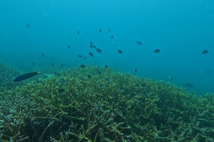Tip of Borneo 3-Day Private Tour from Kudat — Snorkel, Beaches & Rungus Culture photo 6