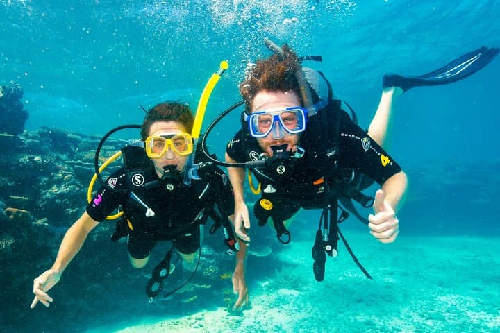 Premium Guided Dive Trip to the Outer Great Barrier Reef from Port Douglas