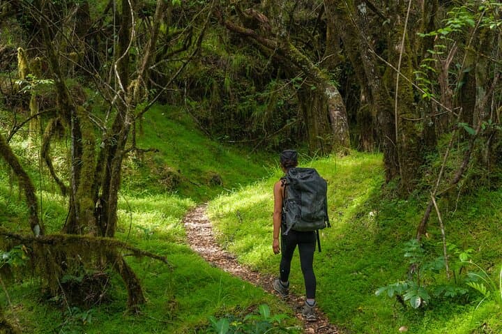 6-Day Mount Meru Climb via Momella Route — Guided Trek to Socialist Peak photo 2