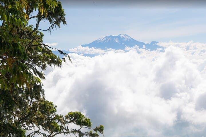 6-Day Mount Meru Climb via Momella Route — Guided Trek to Socialist Peak photo 6