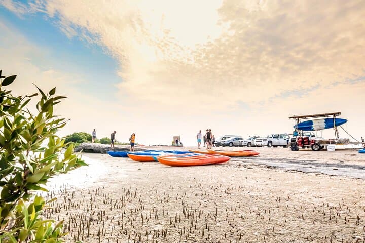 Purple Island Mangrove Kayak Tour — Al Khor Sunset Eco-Paddle