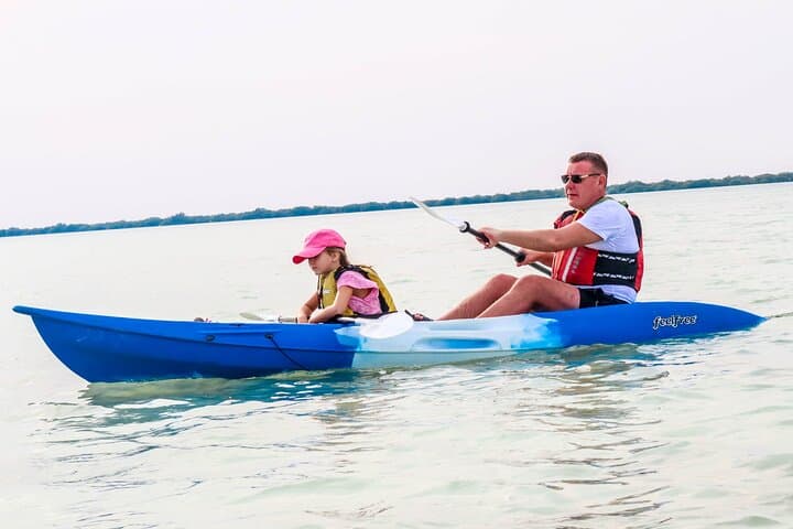 Purple Island Mangrove Kayak Tour — Al Khor Sunset Eco-Paddle photo 3