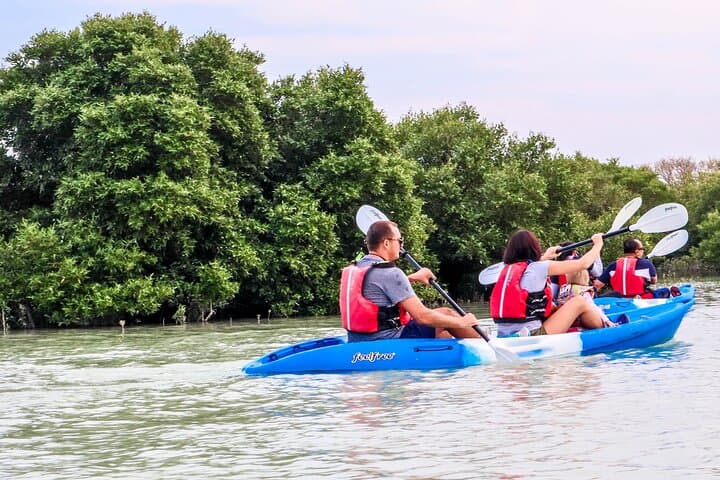 Purple Island Mangrove Kayak Tour — Al Khor Sunset Eco-Paddle photo 4