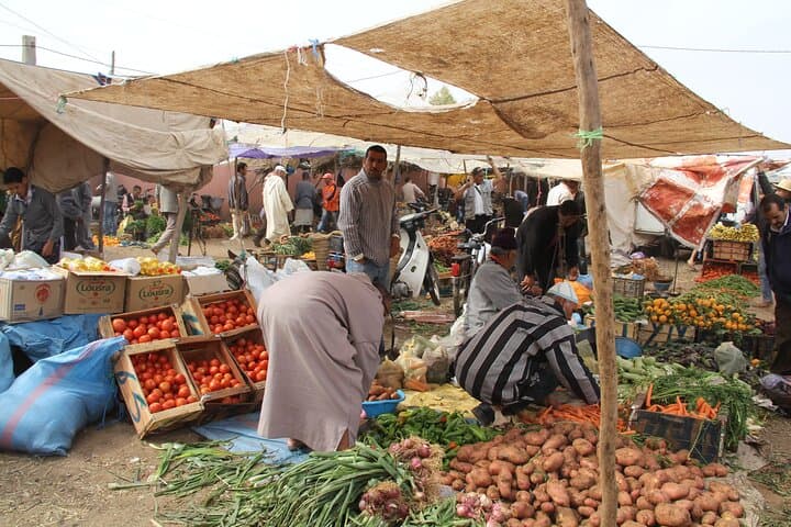 Atlas Mountains Day Trip from Marrakech with Camel Ride and Berber Home Lunch photo 3
