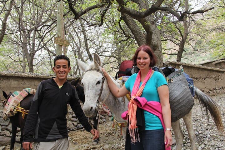Atlas Mountains Day Trip from Marrakech with Camel Ride and Berber Home Lunch photo 5