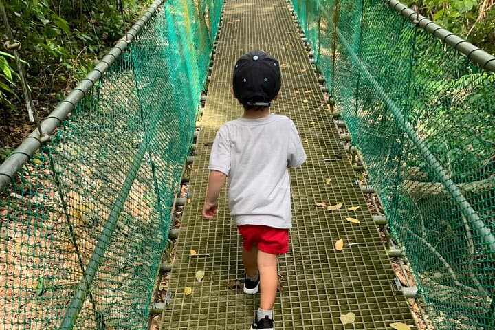 Roatán Eco Walk: 7 Suspension Bridges Through Tropical Canopy photo 2