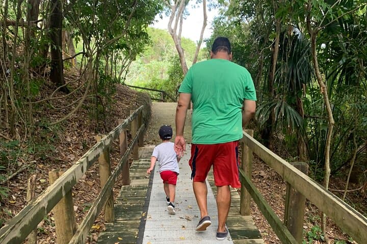 Roatán Eco Walk: 7 Suspension Bridges Through Tropical Canopy photo 3