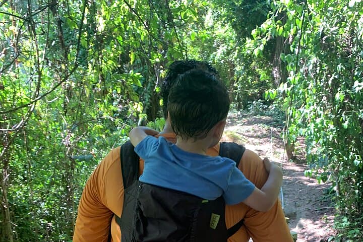Roatán Eco Walk: 7 Suspension Bridges Through Tropical Canopy photo 5
