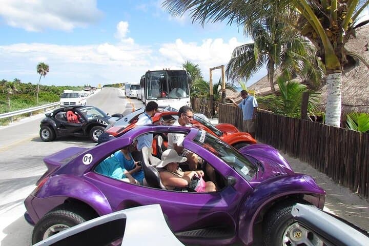 Cozumel Buggy Adventure: Snorkel Beaches & Tequila Tasting from Riviera Maya photo 6