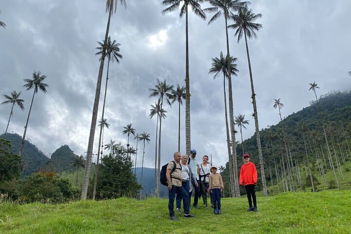 Cocora Valley to Hot Springs: 2-Day Salento & Filandia Coffee Region Tour photo 5