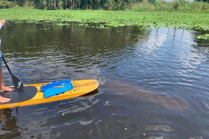 Orlando Manatee Kayak & Olde Florida History Tour on the St. Johns River photo 6
