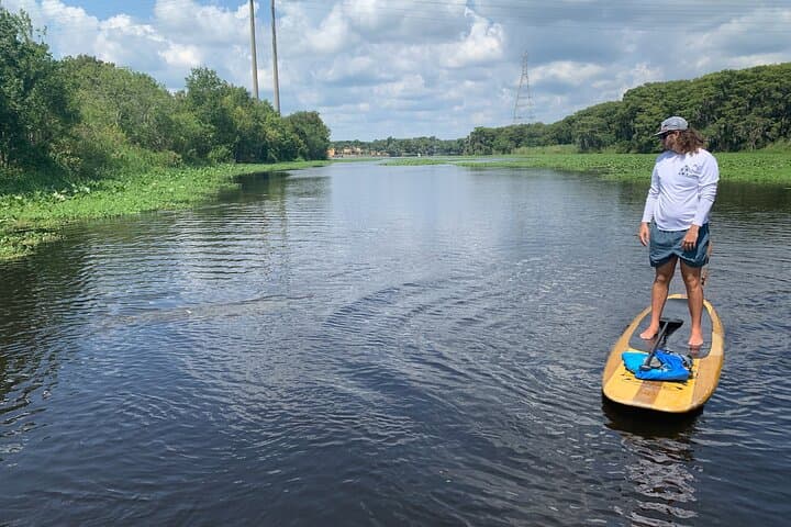 Orlando Manatee Kayak & Olde Florida History Tour on the St. Johns River photo 5