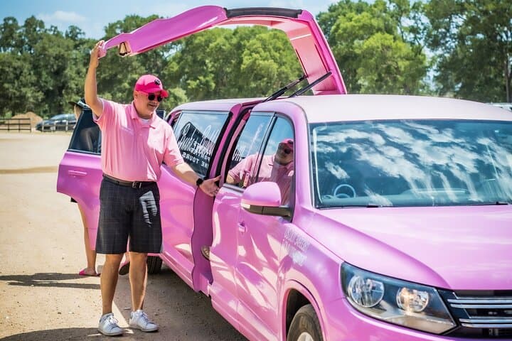Fredericksburg Private Wine Tour: Volkswagen Limo Tasting Experience