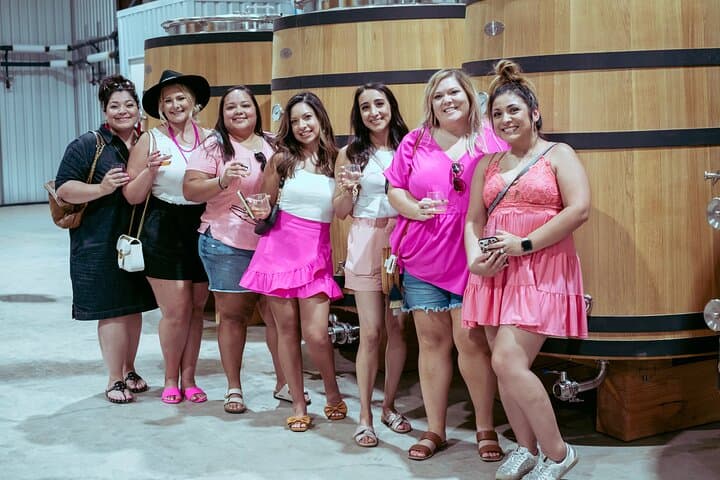 Fredericksburg Private Wine Tour: Volkswagen Limo Tasting Experience photo 6