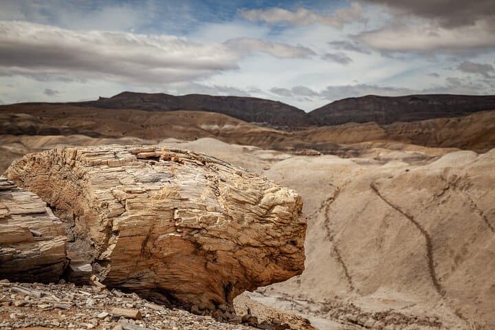 Wild Kayak & Hike on La Leona River: Full-Day Patagonia Adventure photo 4