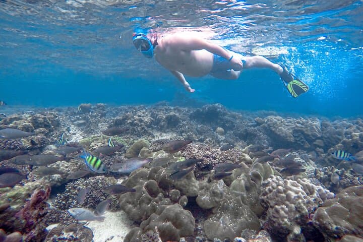 Phi Phi Speedboat Adventure: Snorkel Pileh Lagoon & Seaview Lunch photo 5