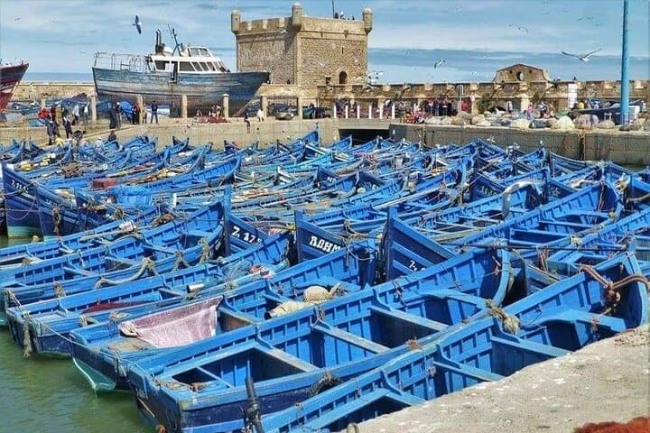Essaouira Day Trip from Marrakech: Private Wind City Tour & Argan Co‑op Visit photo 3