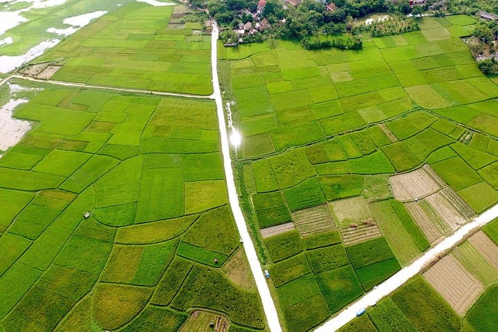 Bac Giang Eco Tour: One-Day Farmer Experience & Rice-Field Cycling from Hanoi