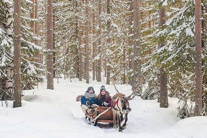 Forest Trail Reindeer Safari — Reindeer Sleigh Ride in Rovaniemi photo 6