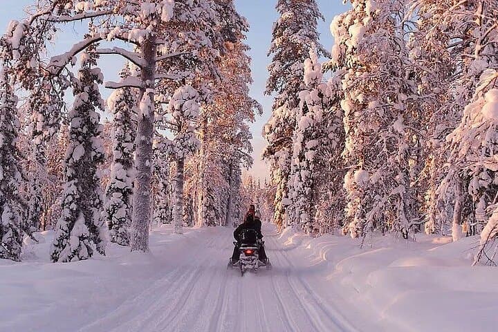 Full-Day Snowmobile Safari in Rovaniemi: Arctic Forest Adventure photo 5