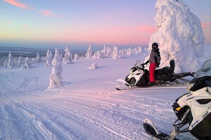 Full-Day Snowmobile Safari in Rovaniemi: Arctic Forest Adventure photo 6
