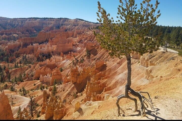 Explore Bryce Canyon and Zion National Parks on a Small Group Day Tour from Las Vegas photo 6