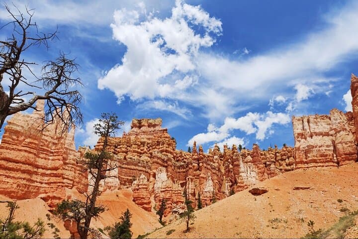 Explore Bryce Canyon and Zion National Parks on a Small Group Day Tour from Las Vegas