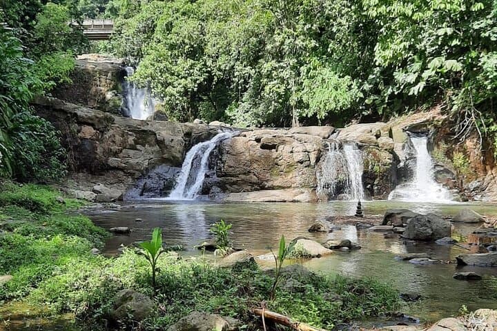 Bribri Shaman Tour: Medicinal Plants, Cacao & Waterfall Experience near Puerto Viejo photo 2